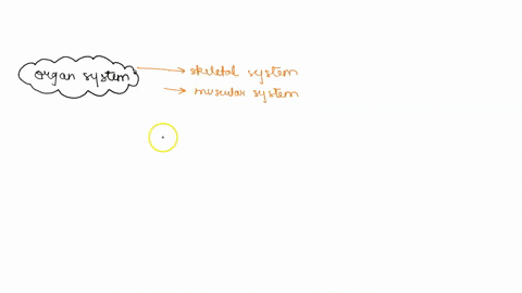 describe-an-organ-system-identify-the-parts-of-the-system-and-function-of-each-aprt-describe-the-anatomy-and-physiology-of-an-organ-system-the-human-body-is-made-up-of-11-organ-systems-that-84161