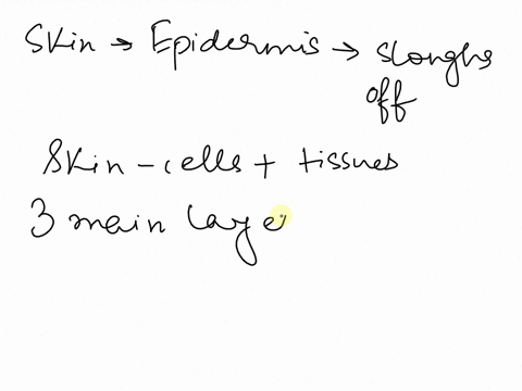 because-the-skin-sloughs-off-on-a-regular-basis-the-most-superficial-layer-of-the-epidermis-is-primarily-composed-of-what-type-of-tissue-a-simple-columnar-epithelium-b-simple-squamous-epithe-83169