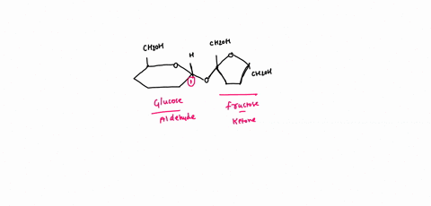 question-7-what-type-of-biological-molecule-is-shown-here-choose-the-most-specific-correct-answer-chzoh-crroh-chzoh-nucleic-acid-carbohydrate-nucleotide-amino-acid-lipid-48117