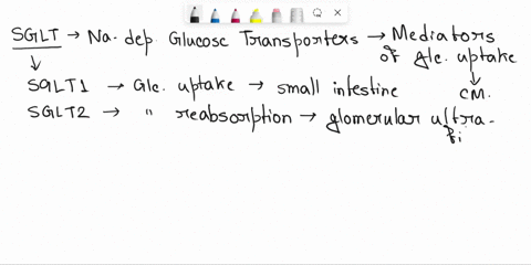 select-the-enzymes-that-play-role-in-producing-monosaccharides-absorbed-by-sglti-pancreatic-alpha-amylase-sucrase-maltase-isomaltase-lactase-alpha-amylase-beta-amylase-glucoamylase-pullulana-24473