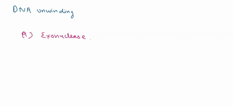 dna-unwinding-is-done-by-a-d-hexonuclease-b-a-ligase-c-topoisomerase-da-b-helicase-97952