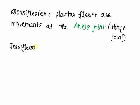 the-movements-known-as-dorsiflexion-and-plantar-flexion-involve-moving-the-a-hip-b-am-c-foot-d-leg-e-hand-74996
