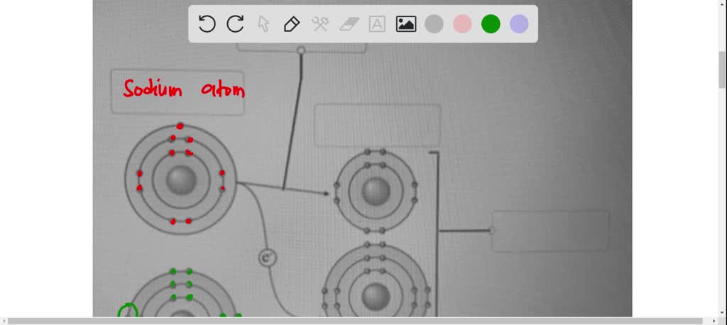 SOLVED: Label the following diagram with the appropriate terms: Mecon ...