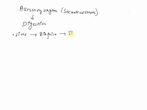which-of-the-following-is-not-an-accessory-organ-of-digestion-group-of-answer-choices-liver-gallbladder-pancreas-large-intestine-45264
