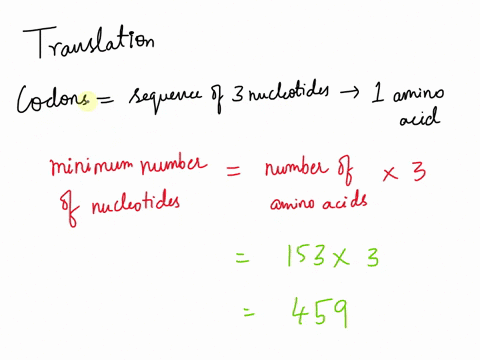 the-protein-myoglobin-is-153-amino-acids-long-what-would-be-the-minimum-number-of-nucleotides-required-to-encode-myoglobin-38566