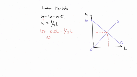 suppose-that-you-have-been-hired-to-analyze-the-impact-on-employment-from-the-imposition-of-a-minimum-wage-in-the-labor-market-further-suppose-that-you-estimate-the-demand-and-supply-functio-99655