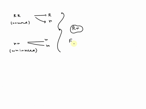 what-was-the-ratio-of-dominant-to-recessive-phenotypes-in-the-f2-generation-of-mendels-experiments-o-a-21-ob-11-o-c-31-o-d-61-sb-90853