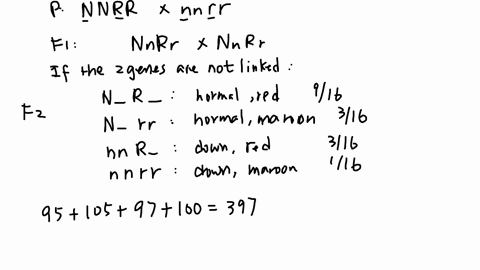 you-perform-a-dihybrid-cross-to-determine-if-two-genes-that-determine-fruit-fly-wing-shape-and-eye-color-are-linked-dependent-assortment-or-not-linkedindependent-assortmentassume-no-crossove-13764