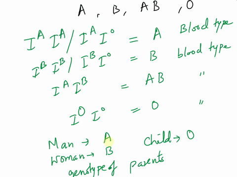 in-human-blood-types-there-are-three-alleles-i-i-and-1and-ia-are-dominant-over-meaning-that-if-a-person-has-either-the-4-or-q-genotype-they-will-have-type-a-blood-and-if-they-have-elther-the-23695