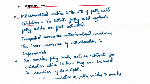 discuss-prevention-of-futile-cycles-between-fatty-acid-synthesis-and-beta-oxidation-in-liver-and-include-transporter-system-4-key-regulatory-steps-regulation-between-cytosol-and-mitochondria-12972