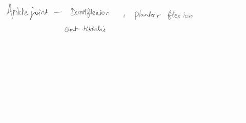 describe-the-roles-of-plantar-flexion-and-dorsiflexion-in-walking-what-muscles-produce-these-actions-80589