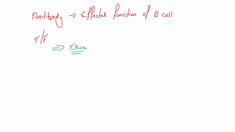 antibody-production-is-the-effector-function-of-b-cells-true-false-65264