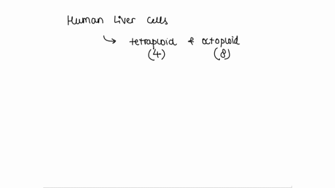 some-human-liver-cells-contain-tetraploid-or-octoploid-chromosome-sets-this-is-an-example-of-endopolyploidy-aneuploidy-allopolyploidy-amphidiploidy-08536