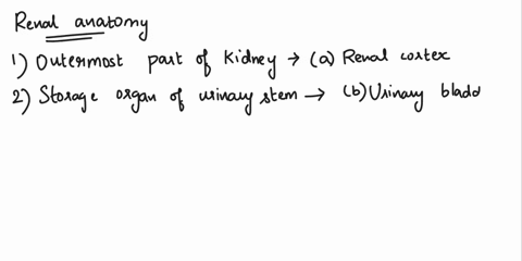 can-you-please-answer-all-this-questions-1-thru-19-please-exercise-36-review-section-urinary-system-name-da-lab-section-review-questions-matching-match-the-descriptions-in-the-left-column-wi-00542