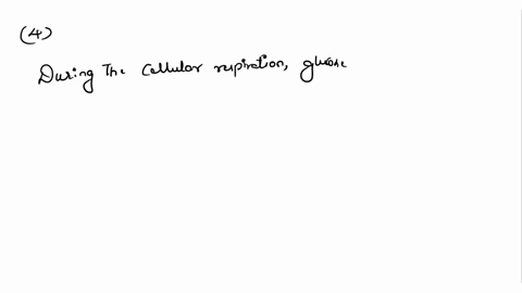 question-9-105-during-cellular-respiration-glucose-loses-electrons-and-hydrogen-ions-and-is-therefore-reduced-2-goes-through-redox-phagocytized-oxidized-99557
