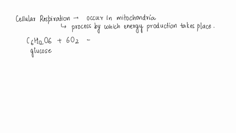 cellular-respiration-is-the-process-by-which-energy-is-stored-in-the-___-of-organic-molecules-54469
