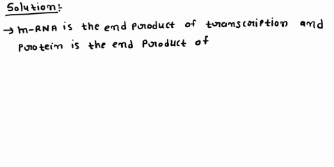 the-end-product-of-transcription-is-_____-and-the-end-product-of-translation-is-_____-a-protein-mrna-b-dna-trait-c-mrna-trna-d-mrna-protein-12292