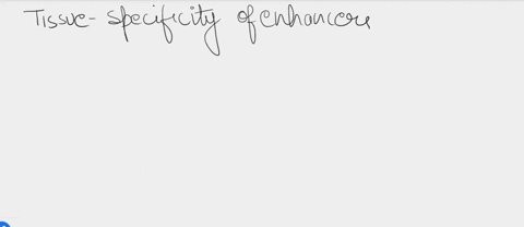 enhancers-sometimes-act-in-a-tissue-or-cell-specific-fashion-for-example-if-a-muscle-specific-enhancer-is-placed-near-a-foreign-gene-and-this-is-then-reintroduced-into-a-eukaryotic-organism-68465