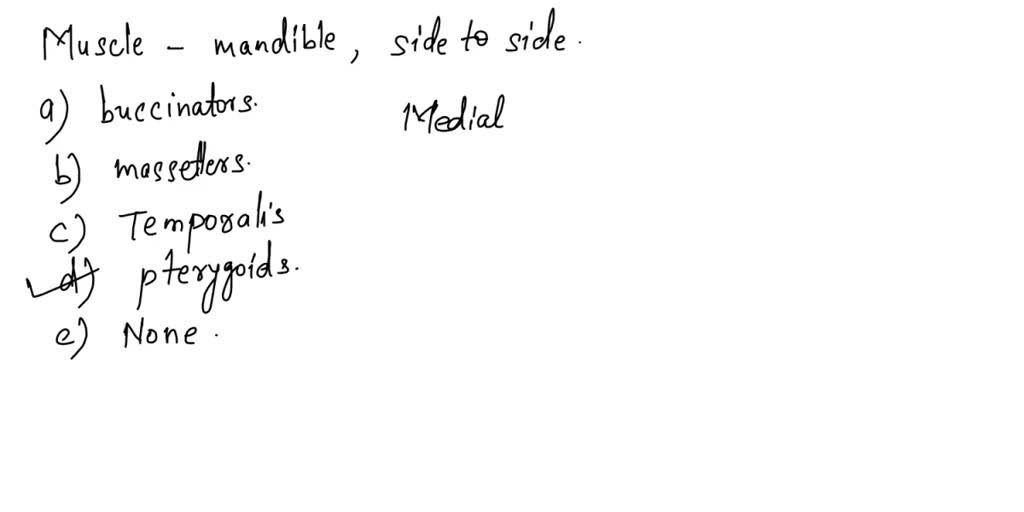 SOLVED The zygomaticus major muscle pulls the corner of the mouth