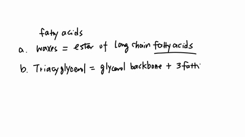which-classification-of-lipids-has-one-or-more-fatty-acids-a-waxes-b-triacylglycerols-c-glycerophospholipids-d-sphingolipids-e-all-of-the-above