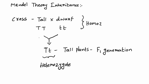 1-how-did-mendels-theory-of-inheritance-as-a-particulate-process-help-to-resolve-how-traits-were-passed-on-from-one-generation-to-the-next-52101