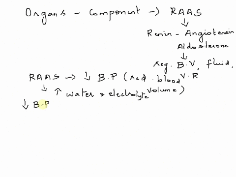 identify-the-organs-that-produce-each-component-of-the-raas-system-85915