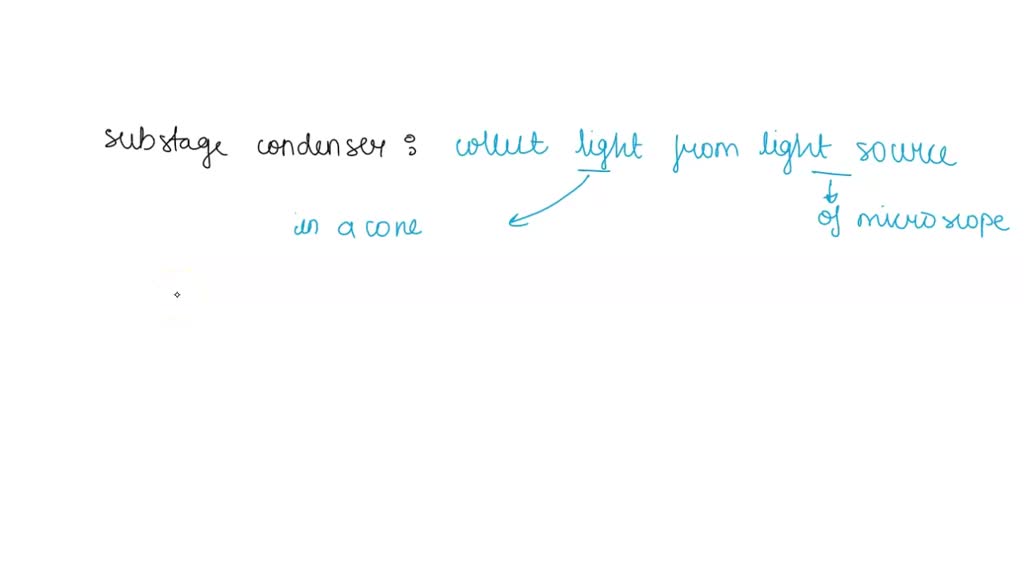 SOLVED Before viewing a specimen with a compound microscope, briefly