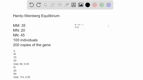 in-a-sample-of-100-hawaiians-it-was-found-that-35-20-and-45-individuals-had-blood-groups-mm-mn-and-nn-respectively-calculate-a-the-allele-frequencies-and-b-the-expected-hardy-weinberg-genoty-87803