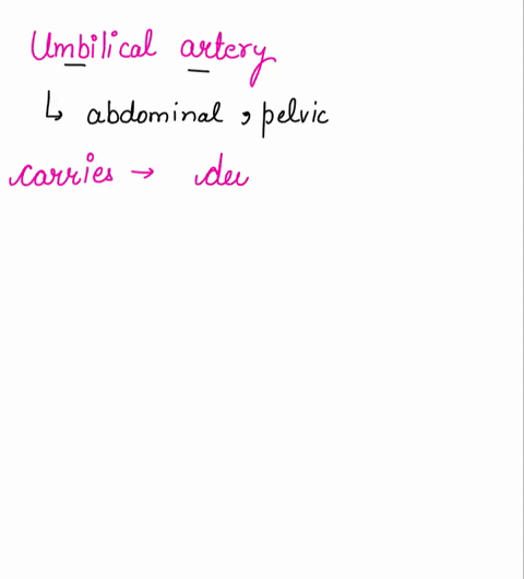 why-is-the-umbilical-artery-carrying-deoxygenated-blood-why-is-the-umbilical-vein-carrying-oxygenated-blood-the-context-is-for-a-pig-dissection-for-a-practical-please-i-need-help-00609