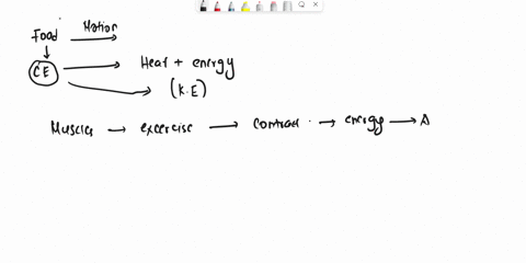 what-is-the-primary-energy-source-for-muscles-that-are-being-long-term-select-one-a-aerobic-fermentation-b-fermentation-d-creatine-phosphate-15504