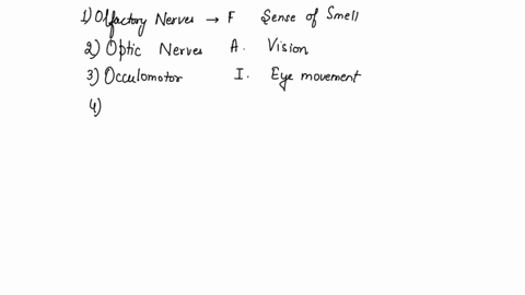 match-the-cranial-nerves-to-the-body-parts-or-functions-that-they-affect-more-than-one-nerve-pair-may-correspond-to-the-same-structure-or-function-1-olfactory-nerves-i-2-optic-nerves-ii-3-oc-57215