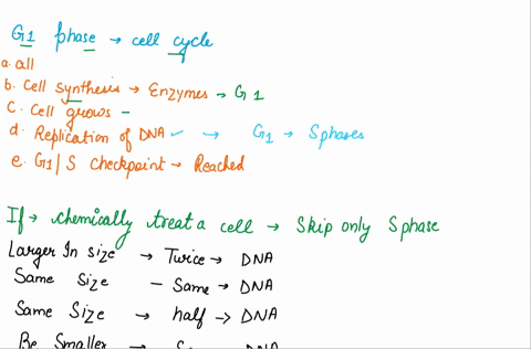 1-which-of-the-following-occurs-during-the-g1-phase-of-the-cell-cycle-a-all-of-these-answers-are-correct-b-the-cell-synthesizes-various-enzymes-that-are-needed-later-on-for-dna-replication-c-17604