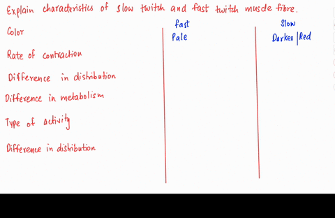explain-the-characteristics-of-the-three-types-of-muscle-fiber-slow-twitch-fast-twitch-oxidative-and-fast-twitch-glycolytic-include-in-your-answer-note-the-color-of-muscle-fiber-the-rate-of-55002
