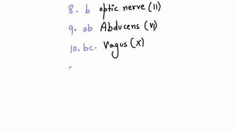 match-each-of-the-following-descriptions-with-the-correct-cranial-nerve-each-question-will-only-have-answer-answers-may-be-used-once-more-than-once-or-not-at-all_if-your-answer-choice-has-2-39368