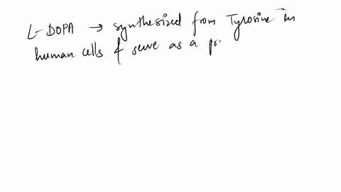 which-one-of-the-following-catecholamines-and-neurotransmitters-is-nqi-made-from-tyrosine-in-human-cells-0-a-serotonin-b-norepinephrine-cadrenaline-or-epinephrine-dl-dopa-0-e-dopamine-61799