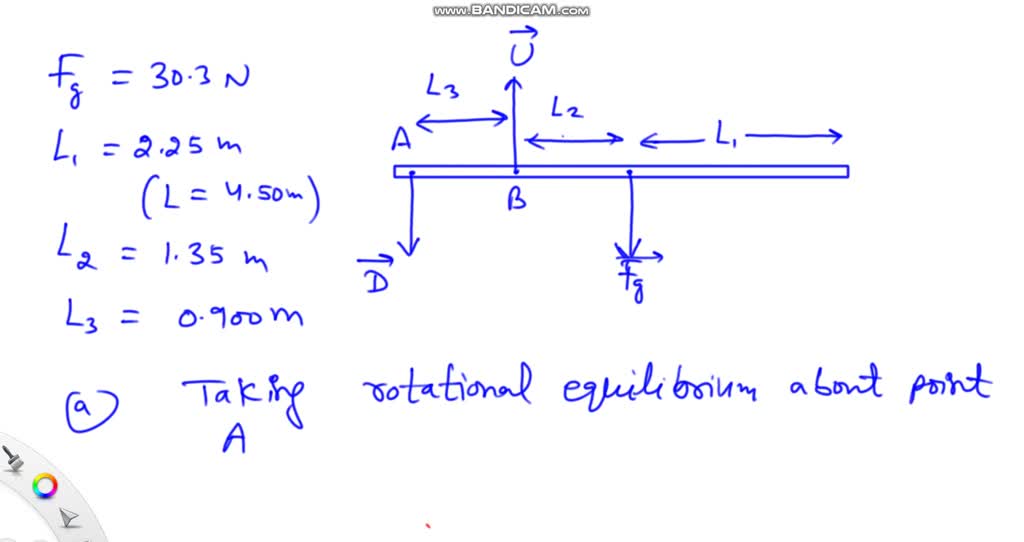 SOLVED: An athlete holds 27.6 N pole equilibrium by exerting an upward ...