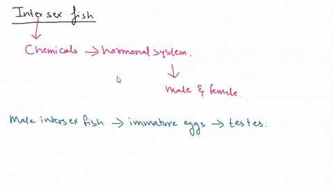 2-intersexual-fish-ar-genetically-male-when-hatched-but-a5-adults-they-contuin-both-ovarian-nnd-lesticular-tissue-intersexunl-iish-have-been-found-in-some-eritish-watenys-and-researchers-hyp-27829