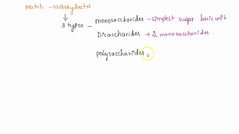 value-18-match-the-items_-a-polysaccharide-with-no-branching-a-disaccharide-known-as-table-sugar-a-monosaccharide-that-usually-combines-with-another-to-form-table-sugar-a-disaccharide-known-44968