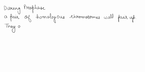24-during-prophase-pair-ofhomologous-chromosomes-will-pair-up-they-are-held-together-for-complex-in-that-arrangement-crossing-over-of-the-synapsis-by-the-non-sister-chromatids-of-the-homolog-07272