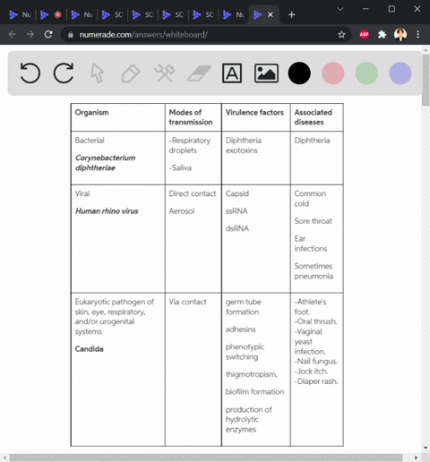pick-one-bacterial-a-viral-and-eukaryotic-pathogen-of-the-skin-eye-respiratory-andor-urogenital-systems-you-should-pick-one-organism-in-each-category-for-any-of-the-three-systems-and-discuss-24937