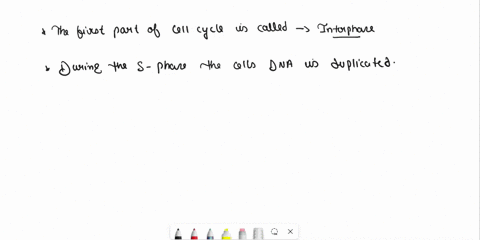 summary-answer-the-following-questions-thee-first-part-of-the-cell-cycle-is-called-_-during-s-phase-the-cell-is-duplicated-isconsidered-nuclear-division-since-thefocusisupon-the-genetic-mate-63833