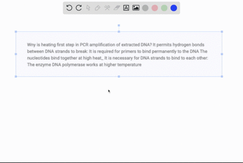 wny-is-heating-first-step-in-pcr-amplification-of-extracted-dna-it-permits-hydrogen-bonds-between-dna-strands-to-break-it-is-required-for-primers-to-bind-permanently-to-the-dna-the-nucleotid-66034