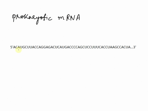shown-below-is-a-prokaryotic-mrna-using-your-knowledge-of-translation-in-prokaryotes-how-many-amino-acids-would-you-predict-to-be-in-the-protein-product-encoded-by-this-mrna-5-acaugcuuaccagg-73292