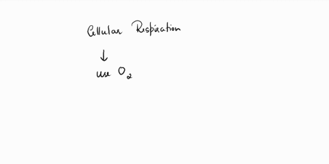 energy-is-released-by-the-food-organisms-consume-through-the-process-of-cellular-respiration-____-during-this-process-oxygen-is-consumed-and-___2-words___-is-produced-and-released-into-the-a-44896