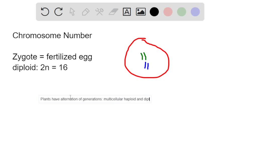 SOLVED An onion plant begins life as a single cell. Let's say that