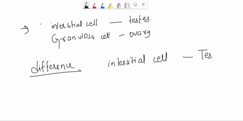 29-help-explainusing-your-own-words-one-difference-and-one-similarity-regarding-interstitial-cells-in-the-testes-and-granulosa-cells-in-the-ovaries-with-respectto-hormones-they-secrete-andor-21617