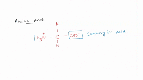 what-are-the-three-parts-of-an-amino-acid-94551