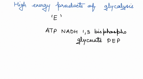 which-compounds-isare-a-high-energy-products-of-glycolysis-a-13-bisphosphoglycerate-and-phosphoenol-pyruvate-b-fructose-16-bisphosphate-13-bisphosphoglycerate-and-phosphoenol-pyruvate-cfruct-02438