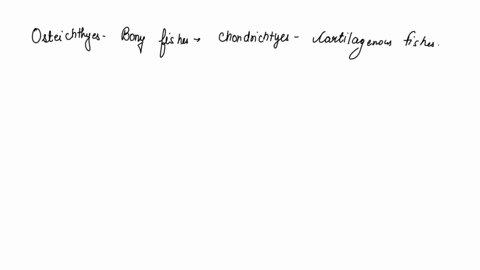 how-different-are-the-swimming-strategies-used-by-osteichthyes-and-chondrichthyes-why-do-shark-need-to-move-their-body-to-swim-while-bony-fish-do-not-69034