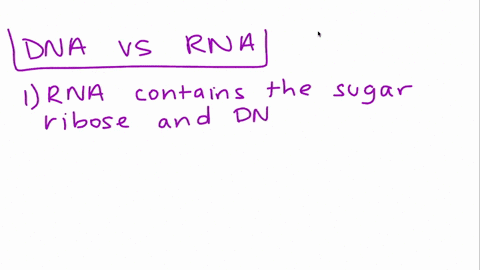 which-of-the-following-correctly-describes-a-property-of-dna-and-rna